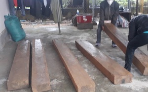 TT-Huế: Lâm tặc bỏ lại nhiều gỗ lậu tháo chạy khi bị vây bắt 