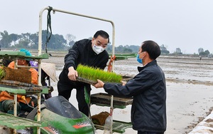 Hà Nội: Thạch Thất về đích huyện nông thôn mới, hướng mạnh đến sản xuất hàng hóa