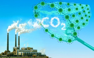 Công nghệ đỉnh cao biến khí thải nhà kính thành tài nguyên kinh tế