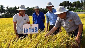 Lộc Trời (LTG) đặt kế hoạch lợi nhuận năm 2021 lên 400 tỷ đồng