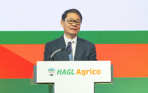 HAGL Agrico “cài số lùi” lợi nhuận năm đầu tiên về tay tỷ phú Trần Bá Dương