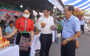 Chủ tịch HND TP Đà Nẵng Nguyễn Đình Khánh Vân: 3 giải pháp để giúp nông dân phát triển đi lên và làm giàu