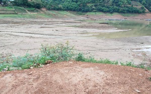Sơn La: Nước sông Đà đột ngột rút nhanh, nông dân nuôi cá lồng ăn không ngon, ngủ không yên