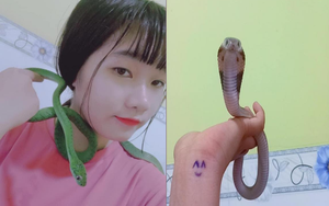 Hoảng hồn: Cô gái Việt nuôi hàng loạt rắn làm... thú cưng, thoải mái quàng rắn quanh cổ