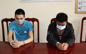 Hà Nam: Hai thanh niên dùng thòng lọng trộm 34 con chó 