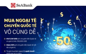 SeABank triển khai nhiều ưu đãi hấp dẫn cho khách hàng chuyển tiền quốc tế và mua bán ngoại tệ
