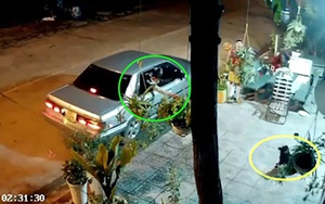 VIDEO: "Cẩu tặc" đi ô tô bắn súng điện trộm chó táo tợn