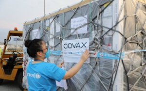 Nỗ lực "phủ sóng" vắc xin Covid-19 (bài 1): "Cuộc đua" ở Việt Nam