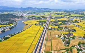 Bình Định: Hăm doạ, thông đồng trong đấu giá đất, Chủ tịch huyện yêu cầu chấn chỉnh