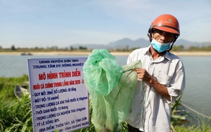 Quảng Ngãi: Nông dân nuôi thứ cá gì vừa dài vừa to bự, bán 600.000 đồng/kg mà nhiều người cứ mua?