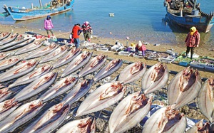 Mỹ bất ngờ cấm nhập khẩu hải sản từ một công ty đánh bắt Trung Quốc