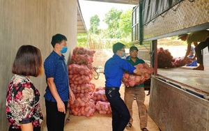 Sơn La: Ủng hộ 21 tấn rau, củ, quả cho người dân Bắc Ninh và Bắc Giang