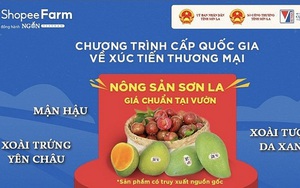 Một ngày lên sàn thương mại điện tử, gần 1 tấn mận hậu Sơn La được tiêu thụ