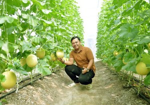 Chàng thanh niên 9X tại Cà Mau kiếm 2 tỷ mỗi năm nhờ mô hình nông nghiệp sạch