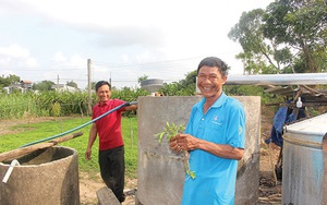Bình Thuận: Bạc hà là cây gì mà dân ở đây trồng thơm cả cánh đồng, nấu ra tinh dầu bao nhiêu đều bán hết?