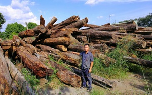 Bình Phước: Dự án “bảo vệ rừng” để… mất rừng, một số tổ chức bị kiểm điểm
