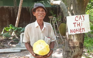 Giá mít Thái hôm nay 6/5: Mặc kệ giá mít lên hay xuống, ông nông dân này trồng mít không xơ đen, bán 40.000 đồng/kg