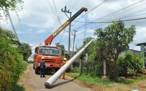 PC Gia Lai: Đẩy nhanh tiến độ hoàn thành các công trình sửa chữa lớn