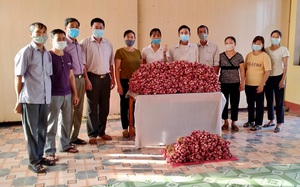 Hội Nông dân tỉnh Ninh Bình tiêu thụ giúp 26 tấn hành tím cho nông dân Sóc Trăng