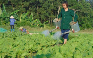 Thái Nguyên: Các "nhà" bàn giải pháp tháo gỡ khó khăn trong trong sản xuất, tiêu thụ nông sản