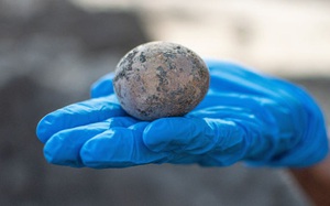 Các nhà khảo cổ vui sướng phát hiện quả trứng 1.000 năm tuổi nhưng họ phải &quot;rơi nước mắt&quot; ngay sau đó
