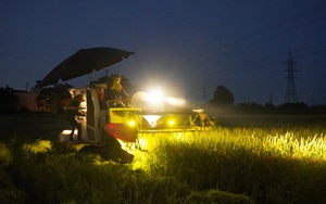 Bắc Ninh: "Thần tốc" gặt lúa trong đêm giúp dân giữa tâm dịch Khắc Niệm