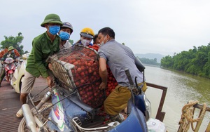 Dân chở vải thi nhau &quot;vồ ếch&quot;, ngã lia lịa khi đi qua cầu &quot;tử thần&quot; ở Bắc Giang 