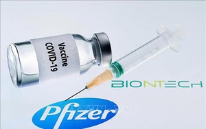 Bộ Y tế phê duyệt có điều kiện vắc xin Covid-19 của hãng Pfizer