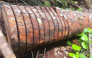 Cục Kiểm lâm chỉ đạo “nóng” vụ phá rừng quy mô lớn chưa từng có ở Vườn Quốc gia Du Già (Hà Giang)