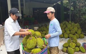 Nông dân phải được quyền định giá nông sản thay vì trông chờ thương lái 