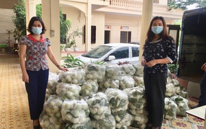 Hà Nội: Bán giúp nông dân gần 100 tấn ổi trong mùa dịch Covid-19