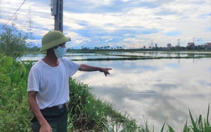 Hà Tĩnh: Ruộng biến thành sông, hàng nghìn ha lúa chìm trong biển nước