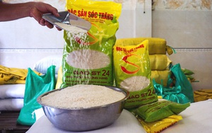 Xuất khẩu gạo ST24 tăng phi mã hơn 500%