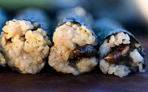 Loại sushi làm từ con vật kêu inh tai nhức óc suốt mùa hè khiến các &quot;thượng đế&quot; nhìn thì ghê nhưng ăn lại mê