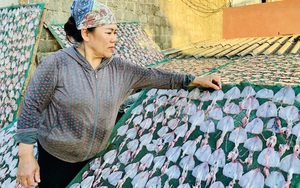 Quảng Bình: Bà chủ hải sản đầu tư lò sấy năng lượng mặt trời, "kéo" nhiều người cùng làm việc này
