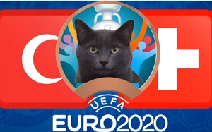 Mèo tiên tri Cass dự đoán kết quả Thụy Sĩ vs Thổ Nhĩ Kỳ: Nghiêng bên nào?