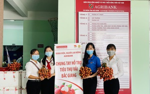 Các Chi nhánh Agribank khu vực Tây Nam Bộ chung tay hỗ trợ Bắc Giang tiêu thụ Vải thiều