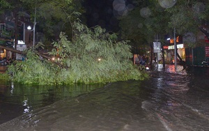 Mưa lớn, cây đổ và ngập khắp phố phường Hà Nội