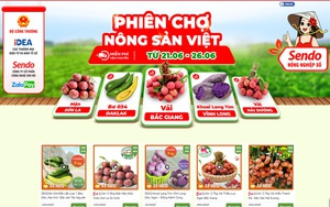 Bán khắp trong Nam ngoài Bắc, đưa lên sàn ra thế giới, Bắc Giang dự kiến thu 7.000 tỷ đồng từ vải thiều