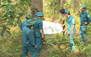 Nguy cơ xảy ra cháy rừng ở mức cao, Hà Giang phải chủ động làm ngay điều này