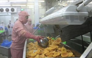Trung Quốc vung tiền mua lượng trái cây khổng lồ của Việt Nam, loại quả nào được mua nhiều nhất?
