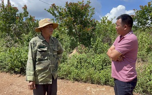 Đắk Nông: Trại heo quy hoạch một nơi tham vấn cộng đồng một nẻo
