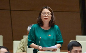 ĐBQH Phạm Thị Minh Hiền - người có nhiều phát biểu "dậy sóng" nghị trường trúng cử đại biểu HĐND tỉnh khóa mới