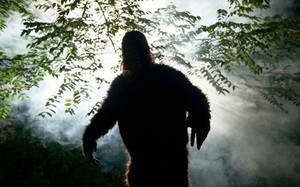 Người đàn ông tuyên bố đã nhìn thấy quái vật thần thoại Bigfoot trong vườn nhà