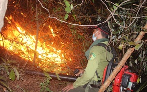 Thừa Thiên Huế: Tiếng nổ trong 2 vụ cháy rừng nghi do đạn, mìn sót lại sau chiến tranh