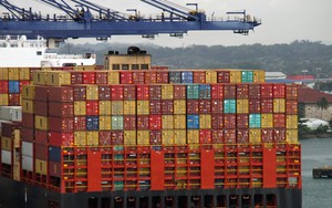 Cước vận tải tăng cao, doanh nghiệp thủy sản Trung Quốc phải tạm dừng sản xuất để cầm cự