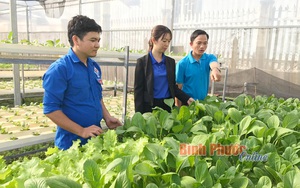 Bình Phước: Lạng ván gỗ cao su, trồng rau thủy canh, 2 chàng thanh niên nhanh làm giàu