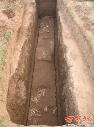 Trong lăng mộ bà nội Tần Thủy Hoàng có giống loài nào chưa từng ai biết đến?
