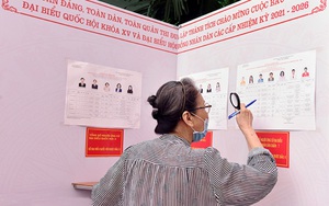 Nhầm giới tính ứng cử viên, hơn 1.000 cử tri Hà Nội phải đi bầu cử lại