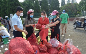 Những “doanh nhân 0 đồng” trong mùa dịch ở tỉnh Hưng Yên